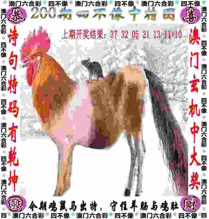 2005天天开彩免费资料 v4.2.56.93 官方正式版 1